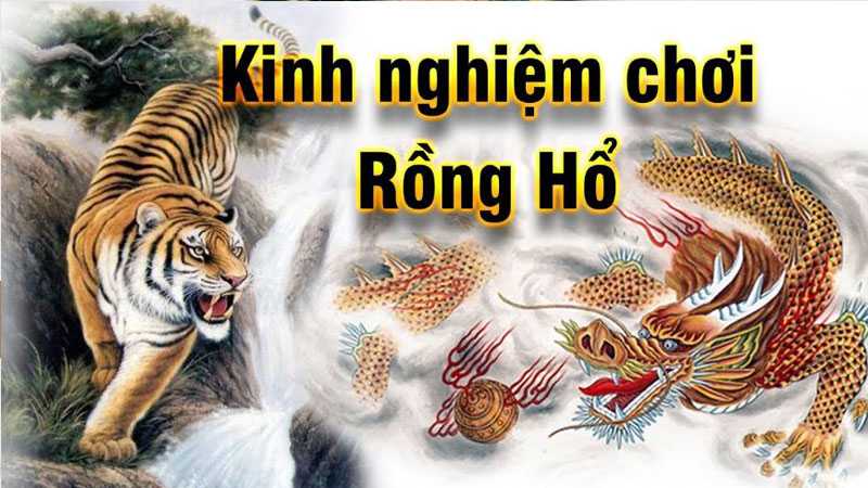 Chia sẻ kinh nghiệm chơi rồng hổ dễ thắng