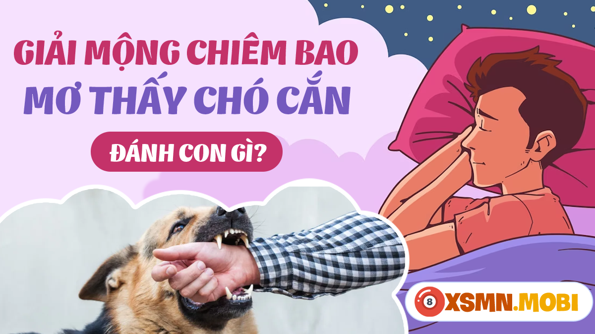 Giải mã giấc mơ thấy chó Bí ẩn và ý nghĩa