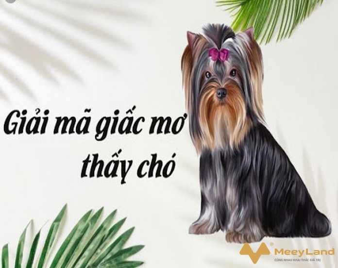 Giải mã giấc mơ thấy chó Bí ẩn và ý nghĩa