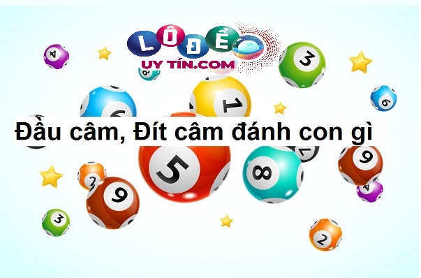 Bật mí những cách soi lô chuẩn 100% với độ chính xác cao